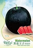 Visa Store 2018 vendita calda Heirloom nero rotondo rosso semi di anguria senza semi, confezione originale, 6 semi/pacchetto, dolce melone succosa # TS057 foto / 