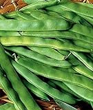 I semi di soia, Roma II, Heirloom fagiolo, fagioli verdi italiani, non-OGM, gustoso, 75ct foto / EUR 10,99