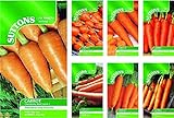 Portal Cool Nastro di semi di carota Amsterdam Per.: Suttons semi di carota pacchetti di semi foto / EUR 9,99