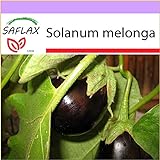 PLAT firm-SEMI SAFLAX - Melanzana - 20 semi - Solanum melonga foto / EUR 10,64