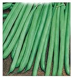 400 C.ca Semi Fagiolo Nano Verde Mangiatutto Bobis - Phaseolus Vulgaris In Confezione Originale Prodotto in Italia - Fagioli nani verdi foto / EUR 7,40