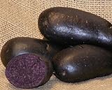 Sycamore Trading Semi di patata viola per 10 tuberi Varietà di patata precoce viola con buccia liscia blu scuro o viola e polpa di colore blu intenso. foto / EUR 10,99