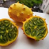 KINGDUO 20 Pc/Pacchetto Kiwano Melone Cetriolo Africano Seme Giardino Serra Frutta Verdura Piante A Semi foto / EUR 9,24