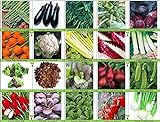 PLAT firm-SEMI Viridis Hortus - 20 confezioni dei semi di verdure - pomodoro, sedano, porro, pisello, senape nera Zest, carote, cicoria, Rapa ecc foto / EUR 14,51