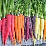 300pcs carota Semi 100% del seme reale Delicious dolce e semi di ortaggi sani carota giardino della casa Impianto misto libero foto / EUR 10,99