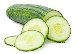 Cucumber Seeds for Planting Outdoors, 210 Straight Eight Cucumber Seeds, Thicker Cucumbers Than with Persian Cucumber Seeds, 6.3 Grams photo / $6.97
