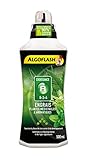 ALGOFLASH Engrais Plantes Médicinales & Aromatiques A Croissance 500 ml, ALITHEA500 photo / 15,55 € (31,10 € / l)