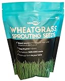 Wheatgrass Seeds | Non GMO | Grown in USA Wheat Grass Seeds | from Our Farm to Your Table (1 Pound) photo / $9.95