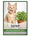 photo Catnip Seeds for Planting is A Heirloom, Non-GMO Herb Variety- Nepeta Cataria Herb Seeds Great for Indoor and Outdoor Gardening and Indoor Outdoor Cats by Gardeners Basics