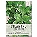 photo Seed Needs, Cilantro Culinary Herb Seeds for Planting (Coriandrum sativum) Single Package of 250 Seeds Non-GMO / Untreated
