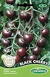 Germisem Black Cherry Tomate 20 Semillas (EC8020) foto / 2,21 €