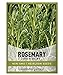 photo Rosemary Seeds for Planting - It is A Great Heirloom, Non-GMO Herb Variety- Great for Indoor and Outdoor Gardening by Gardeners Basics
