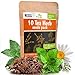 photo 10 Herbal and Medical Tea Seeds Pack - Heirloom and Non GMO, Grown in USA - Indoor or Outdoor Garden - Chamomile, Lavender, Mint, Lemon Balm, Catnip, Peppermint, Anise, Coneflower Echinacea & More