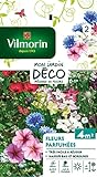 Vilmorin 5862942 Fleur parfumée, Multicolore, 90 x 2 x 160 cm photo / 4,50 €