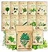 photo NatureZ Edge 12 Herb Seeds Variety Pack, 6000+ Heirloom Seeds for Planting Hydroponic Indoor or Outdoor Home Garden Plant Seed, Parsley, Cilantro, Basil, Thyme, Chamomile, Oregano, Dill & More NonGMO