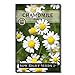 photo Sow Right Seeds - Roman Chamomile Seeds for Planting - Non-GMO Heirloom Seeds; Instructions to Plant and Grow an Herbal Tea Garden, Indoors or Outdoor; Great Gardening Gift. (1)