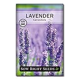 Sow Right Seeds - Lavender Seeds for Planting; Non-GMO Heirloom Seeds with Instructions to Plant and Grow a Beautiful Indoor or Outdoor herb Garden; Great Gardening Gift photo / $4.99