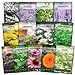photo Sow Right Seeds - Large Medicinal Herb Seed Collection for Planting - Lemon Balm, Lavender, Yarrow, Echinacea, Anise, Lovage, Chamomile, Calendula, Bergamot & More - Non-GMO Heirloom
