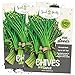 photo Seed Needs, Garlic Chives Herb (Allium tuberosum) Twin Pack of 400 Seeds Each Non-GMO