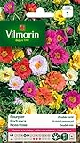 Vilmorin 5633441 Pourpier à Grande Fleur Double varie, Multicolore, 90 x 2 x 160 cm photo / 2,50 € (11,90 € / kg)