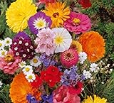 Lot de 50 Graines fleurs en malange a couper jardin colorés fleurs + ou - cornues 40-60 cm semence photo / 4,39 € (0,09 € / unité)
