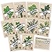 photo Culinary Herb Seeds 10 Pack – Over 4000 Seeds! 100% Non GMO Heirloom - Basil, Cilantro, Parsley, Chives, Thyme, Oregano, Dill, Rosemary, Sage Rosemary for Planting for Outdoor or Indoor Herb Garden