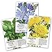 photo Seed Needs, Dandelion Seed Collection (3 Individual Packets) Non-GMO