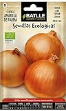 Semi Ecologici - Cipolla Gialla di Parma (210 Seeds - Bio) foto / EUR 3,90