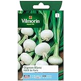 Vilmorin - Bustina semi Cipolle bianco presto de Paris foto / 
