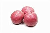 Seed Potatoes for Planting Russet - 5 lb photo / $39.97 ($0.50 / Ounce)