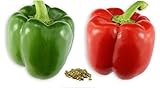 RDR Seeds 100 California Wonder Sweet Pepper Seeds for Planting - Heirloom Non-GMO Pepper Seeds for Planting - Bell Pepper Matures from Green to Red photo / $5.99 ($0.06 / Count)