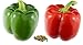 photo RDR Seeds 100 California Wonder Sweet Pepper Seeds for Planting - Heirloom Non-GMO Pepper Seeds for Planting - Bell Pepper Matures from Green to Red