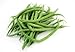 photo Tendergreen Green Bean Seeds, 50 Heirloom Seeds Per Packet, Non GMO Seeds
