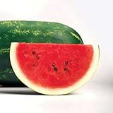 Park Seed Sangria Hybrid Watermelon Seeds, Pack of 10 Seeds photo / $8.50 ($0.85 / Count)