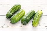 Boston Pickling Cucumber Seeds, 100 Heirloom Seeds Per Packet, Non GMO Seeds, Isla's Garden Seeds photo / $6.29 ($0.06 / Count)