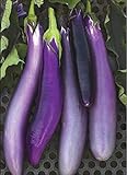 David's Garden Seeds Eggplant Ping Tung Long 7333 (Purple) 50 Non-GMO, Heirloom Seeds photo / $3.95