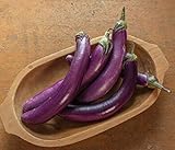 David's Garden Seeds Eggplant Asian Delite (Purple) 25 Non-GMO, Hybrid Seeds photo / $3.45