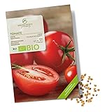 BIO Tomatensamen (Matina) - Tomaten Saatgut aus biologischem Anbau ideal für die Anzucht im Garten, Balkon oder Terrasse foto / 4,90 €