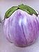 photo Rosa Bianca Eggplant Seeds- Heirloom- 100+ Seeds