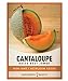 photo Cantaloupe Seeds for Planting - Hales Best Jumbo Heirloom, Non-GMO Vegetable Variety- 1 Gram Approx 45 Seeds Great for Summer Melon Gardens by Gardeners Basics