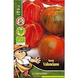 Semillas ecológicas de Tomate Valenciano foto / 4,42 €