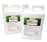 Kelp Fertilizer by GS Plant Foods (5 Gallon) - Organic Liquid Fertilizer for Gardens, Lawns & Soil - Liquid Kelp Concentrate photo / $149.95