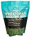 photo Wheatgrass Seeds | Non GMO | Grown in USA Wheat Grass Seeds | from Our Farm to Your Table (1 Pound)