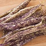 Dragon Tongue Bush Bean Seeds - Packet of 20 Seeds photo / $7.97 ($0.40 / Count)