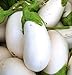 photo David's Garden Seeds Eggplant White Star (White) 25 Non-GMO, Hybrid Seeds