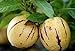 photo 100+ Pepino Melon Seeds Ginseng Fruit Seeds for Planting