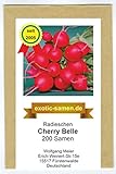 Radieschen - Cherry Belle - schnellwüchsig - früh reifend - köstlich - 200 Samen foto / 1,95 €