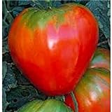 German Red Strawberry Tomato Seeds (20+ Seeds) | Non GMO | Vegetable Fruit Herb Flower Seeds for Planting | Home Garden Greenhouse Pack photo / $3.69 ($0.18 / Count)