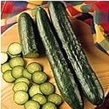 Sweeter Yet Cucumbers Seeds (20+ Seeds) | Non GMO | Vegetable Fruit Herb Flower Seeds for Planting | Home Garden Greenhouse Pack photo / $3.69 ($0.18 / Count)