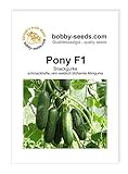 Pony F1 Snackgurkensamen von bobby-seeds Portion foto / 4,69 €